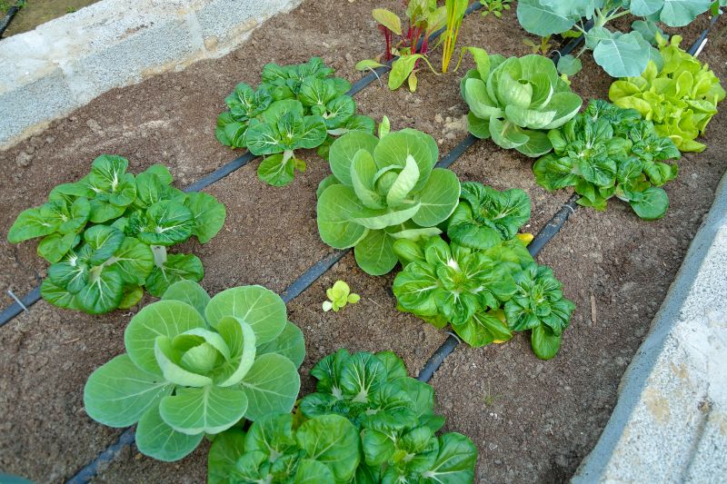 Underground Drainage