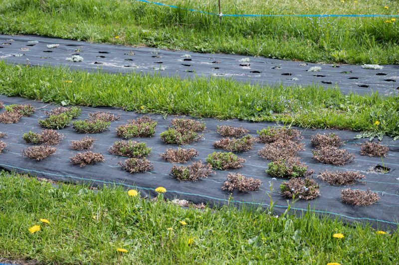 Filter Fabric Pricing